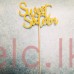 Glitter Picks - SWEET SIXTEEN With Pick 10cm