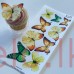 Edible Wafer Butterfly Set Of 9 - FALL