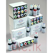Gel, Paste & Powder Colors ( Imported ) (122)