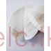 Silicone Mold Veiner - Rose Leaf 8x6cm