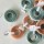 COOKIE CUTTER PLASTIC - Plain/Scalloped Round Set 6