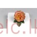 Cutters Stainless Steel  - Rose Petal cutter set 10 