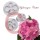 Plunger Cutter Set of 3 - HYDRANGEA