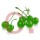 Marashino Cherries GREEN 28 Oz