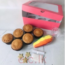 DIY Rainbow Pack and Three Stars Cupcake Kit