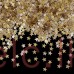 Edible Glitter Flakes - STARS Gold and Silver