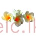 Icing Shapes - Sugar Flowers ARALIYA/FRANGIPANI 3cm LEMON - 3D