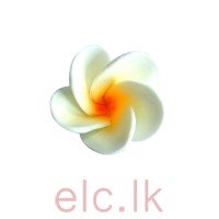 Icing Shapes - Sugar Flowers ARALIYA/FRANGIPANI 3cm LEMON - 3D