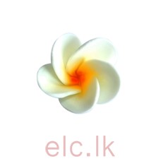 Icing Shapes - Sugar Flowers ARALIYA/FRANGIPANI 3cm LEMON - 3D