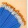 Paint Brushes 