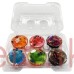 Clear Cupcake Box 6 Hole 